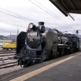 ４年ぶりに日帰りバスツアーを開催しました