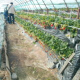 「日帰りバスツアー」を開催しました