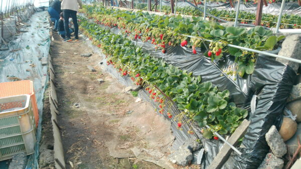 「日帰りバスツアー」を開催しました